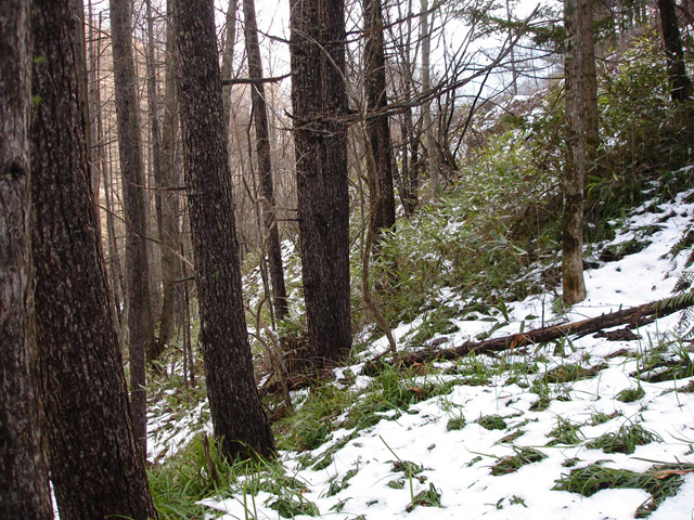 �����X�ѓS��,�p����,����,���ؑ]�ѓS,�ؑ]�X