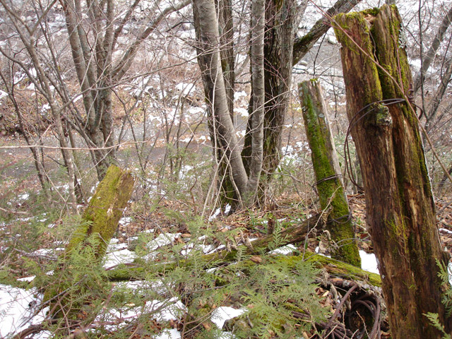 �����X�ѓS��,�ѓS,�p����,����,�H��,�ѓ�