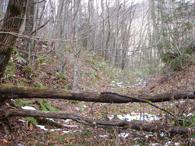 �����X�ѓS��,�ѓS,�p����,����,�ؑ]�X