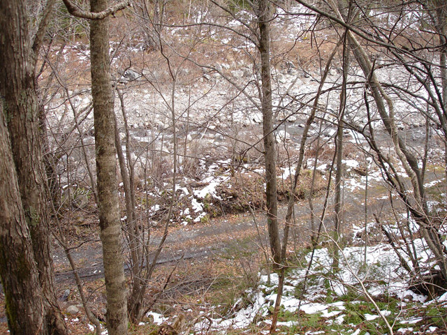 �����X�ѓS��,�ѓS,�p����,�ѓ�,�ؑ]�X