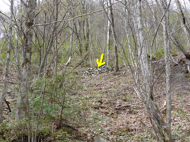 �����X�ѓS��,�ѓS,�p����,����,�ؑ]�X