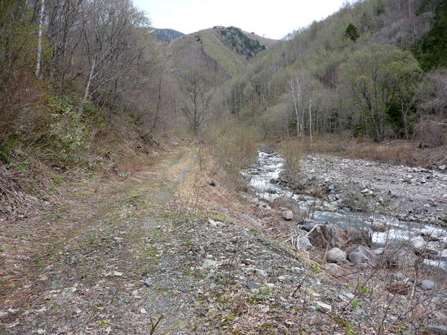 �����X�ѓS��,�ѓS,�p����,�ѓ�,���X��