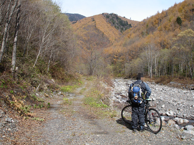 �����X�ѓS��,�ѓS,�p����,�ѓ�,���X��