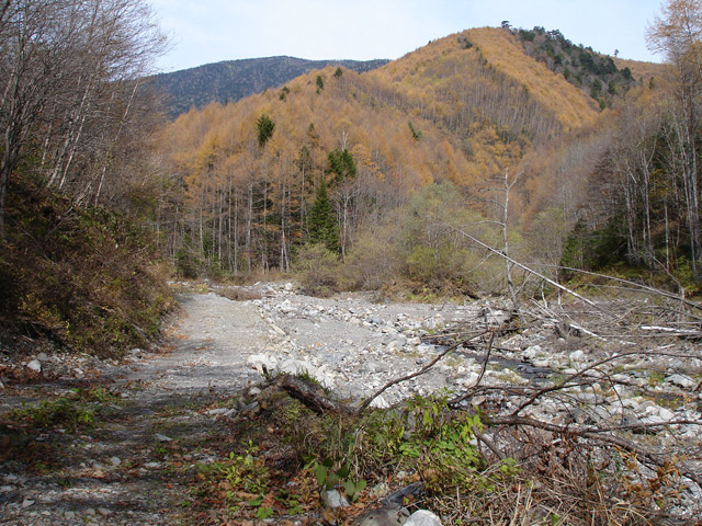 �����X�ѓS��,�ѓS,�p����,�ѓ�,���X��