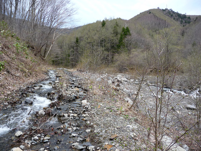 �����X�ѓS��,�ѓS,�p����,�ѓ�,���X��,�M�m��