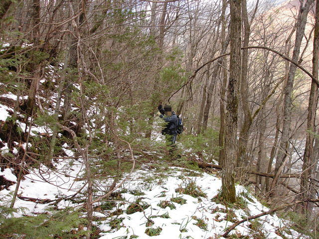 �����X�ѓS��,�ѓS,�p����,����,�ؑ]�X