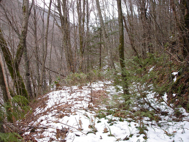 �����X�ѓS��,�ѓS,�p����,����,�ؑ]�X