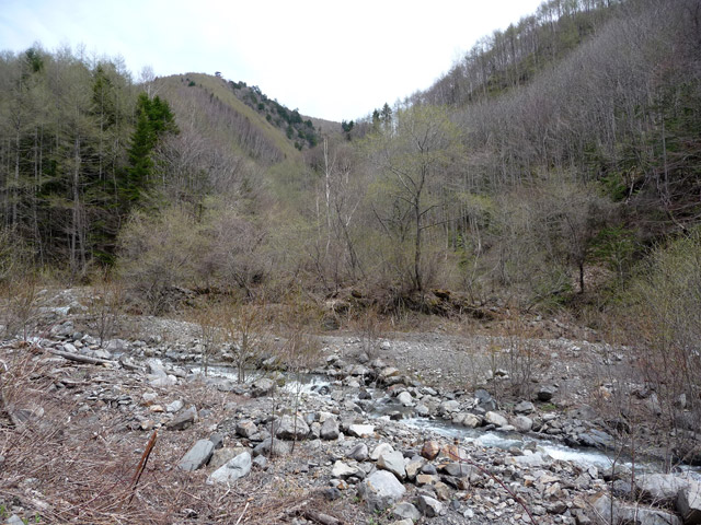 �����X�ѓS��,�ѓS,�p����,���X��,�M�m��,�ѓ�