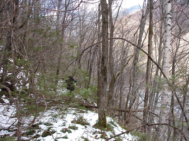 �����X�ѓS��,�ѓS,�p����,����,�ؑ]�X