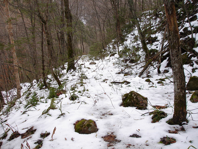 �����X�ѓS��,�ѓS,�p����,����,�ؑ]�X