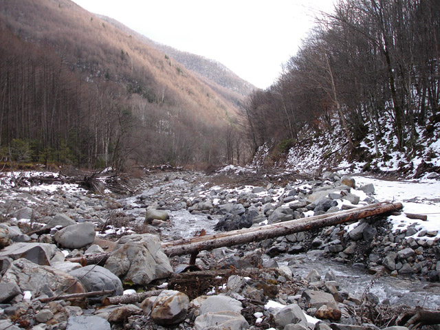 �����X�ѓS��,�ѓS,�p����,�ۑ���,�I�_,�ѓ�