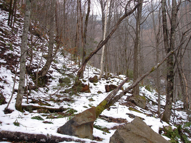 �����X�ѓS��,�ѓS,�p����,����,�ؑ]�X