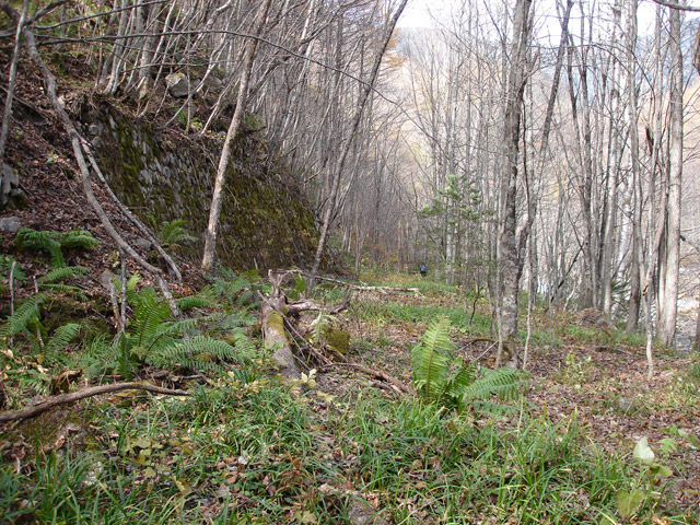 �����X�ѓS��,�ѓS,�p����,�M�m���ԏ�,�ؑ]�X