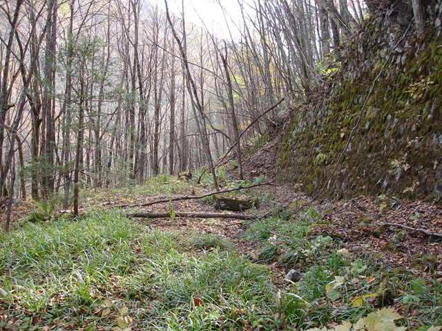 �����X�ѓS��,�ѓS,�p����,�M�m���ԏ�,�ؑ]�X