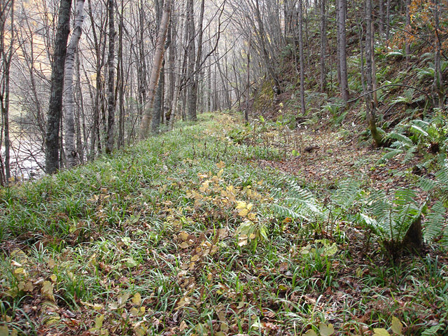 �����X�ѓS��,�ѓS,�p����,�M�m���ԏ�,�ؑ]�X