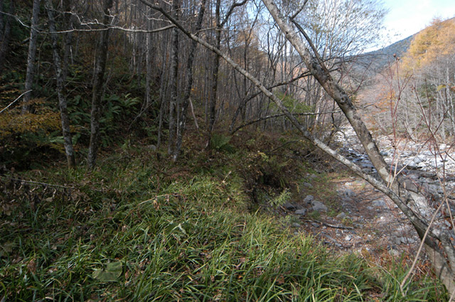 �����X�ѓS��,�ѓS,�p����,����,��ԏ�