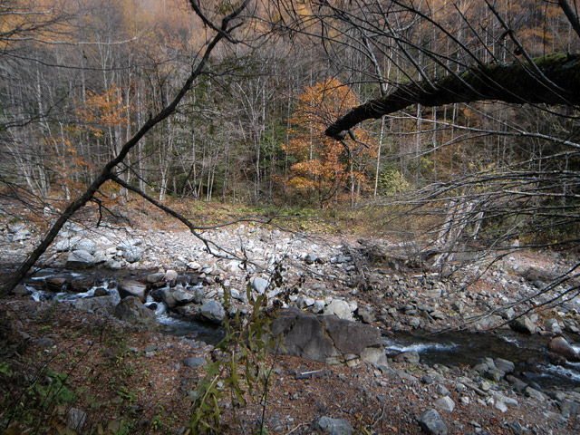 �����X�ѓS��,�ѓS,�p����,���T�r��,��ԏ�