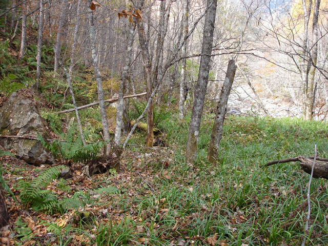 �����X�ѓS��,�ѓS,�p����,����,��ԏ�