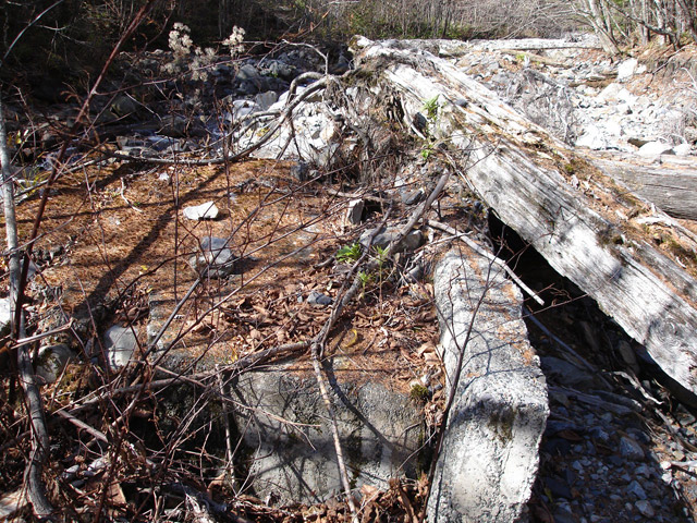 �����X�ѓS��,�ѓS,�p����,���T�r�򋴗�,�؋�,�s�A