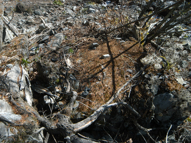 �����X�ѓS��,�ѓS,�p����,���T�r�򋴗�,�؋�,�s�A