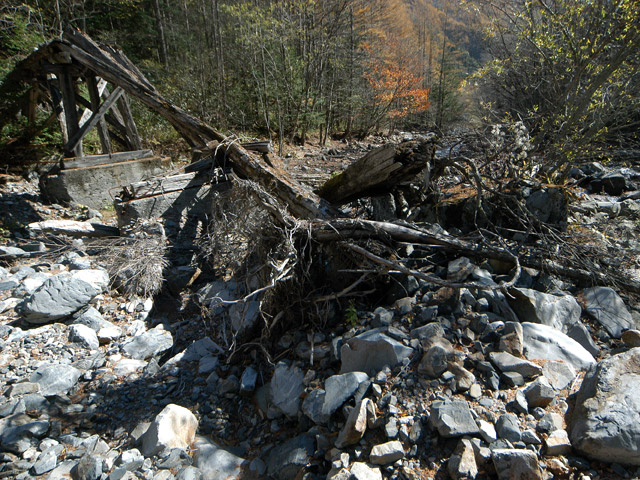 �����X�ѓS��,�ѓS,�p����,���T�r�򋴗�,�؋�,�c�[