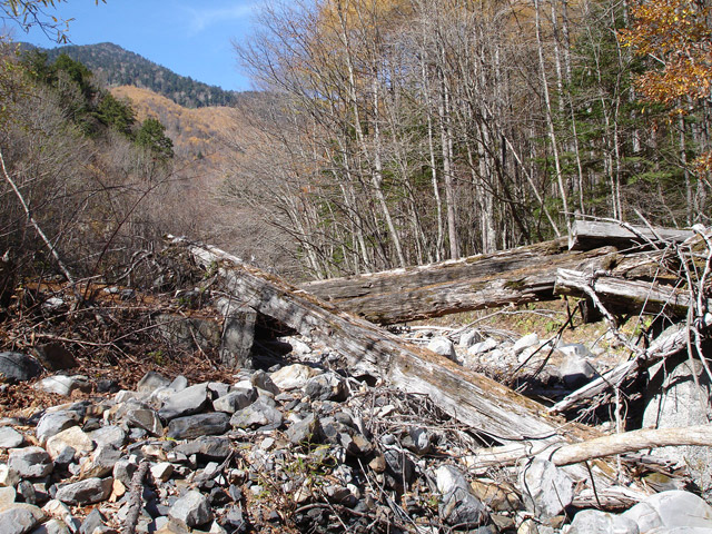 �����X�ѓS��,�ѓS,�p����,���T�r�򋴗�,�؋�,�c�[