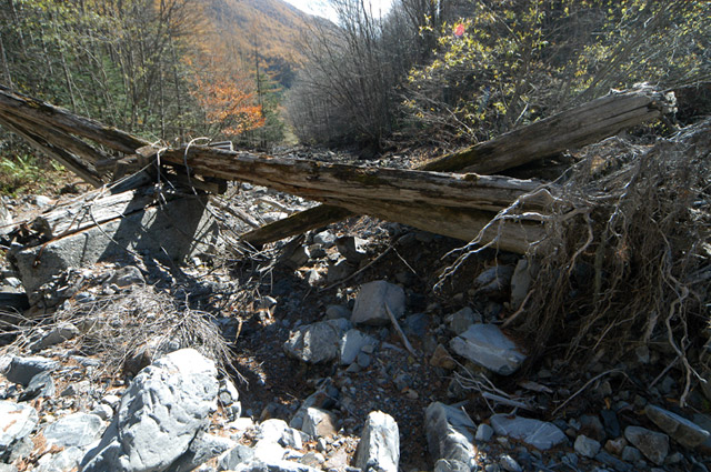 �����X�ѓS��,�ѓS,�p����,���T�r�򋴗�,�؋�,�c�[