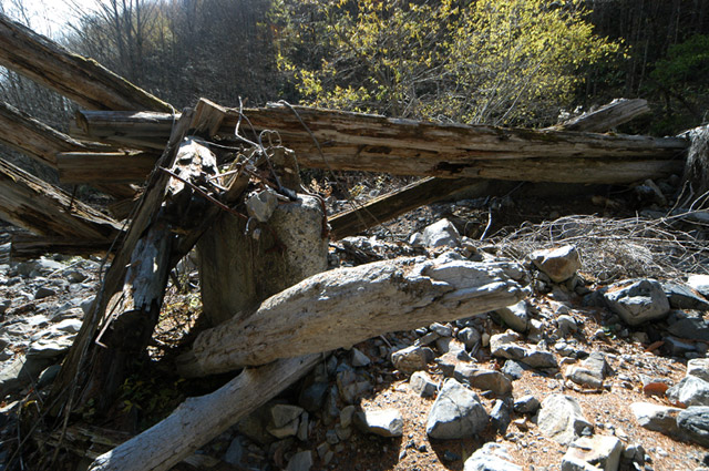 �����X�ѓS��,�ѓS,�p����,���T�r�򋴗�,�؋�,�c�[