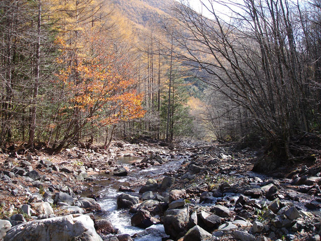 �����X�ѓS��,�ѓS,�p����,���T�r��,�ؑ]�쌹��