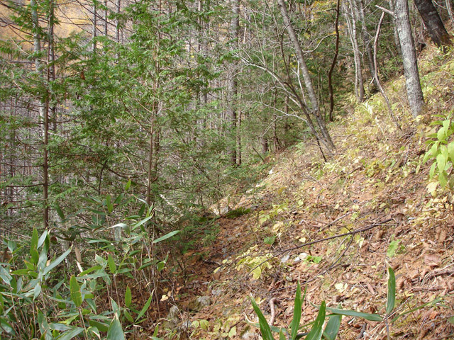 �����X�ѓS��,�ѓS,�p����,����,�����c�я�,�O����