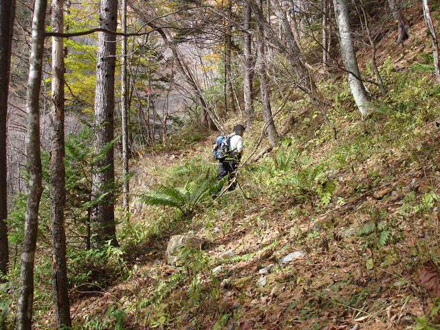 �����X�ѓS��,�ѓS,�p����,����,�����c�я�,�O����