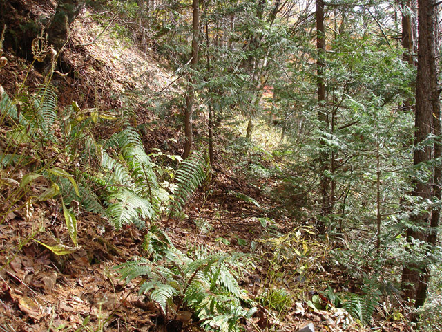 �����X�ѓS��,�ѓS,�p����,����,�����c�я�,�O����