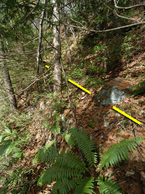 �����X�ѓS��,�ѓS,�p����,����,�����c�я�,�O����