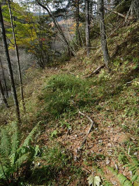 �����X�ѓS��,�ѓS,�p����,����,�����c�я�,�O����