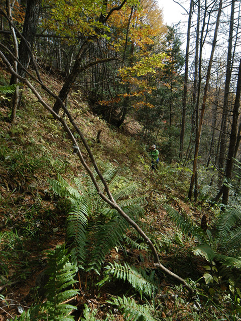 �����X�ѓS��,�ѓS,�p����,����,�����c�я�,�O����