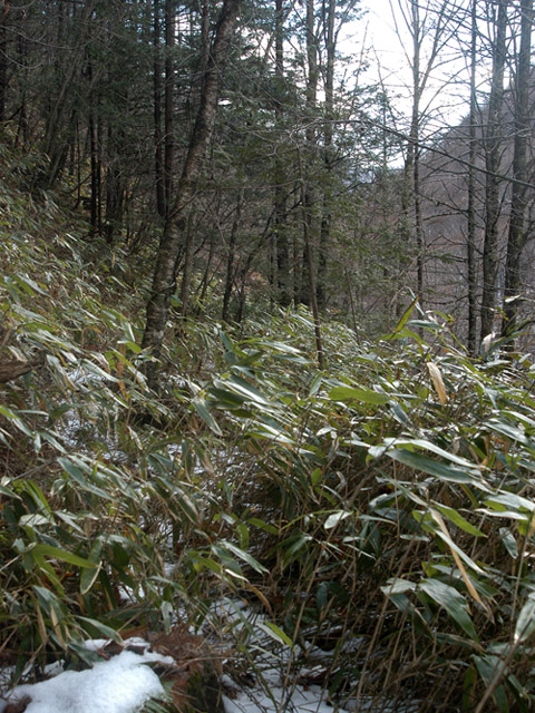 �����X�ѓS��,�ѓS,�p����,�G��,�����c�я�,�O����