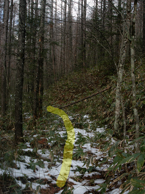 �����X�ѓS��,�ѓS,�p����,������,�����c�я�,�O����