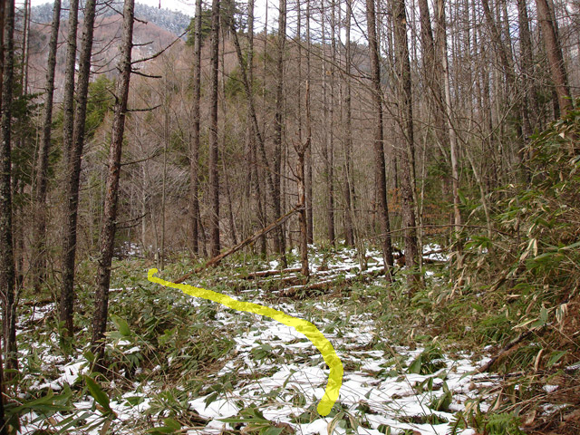 �����X�ѓS��,�ѓS,�p����,�ؑ]�쌹����,���T�r��,�������R