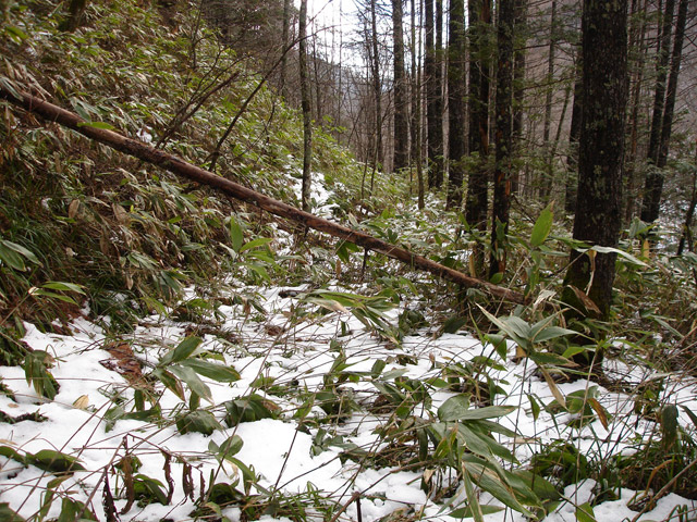 �����X�ѓS��,�ѓS,�p����,������,�����c�я�,�O����