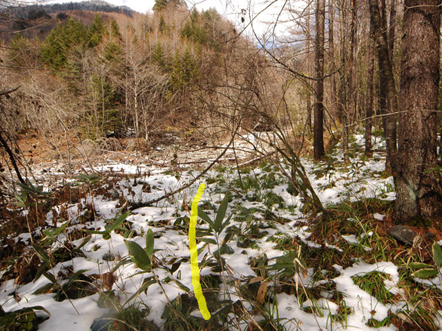 �����X�ѓS��,�ѓS,�p����,���T�r��,�����c�я�,�O����