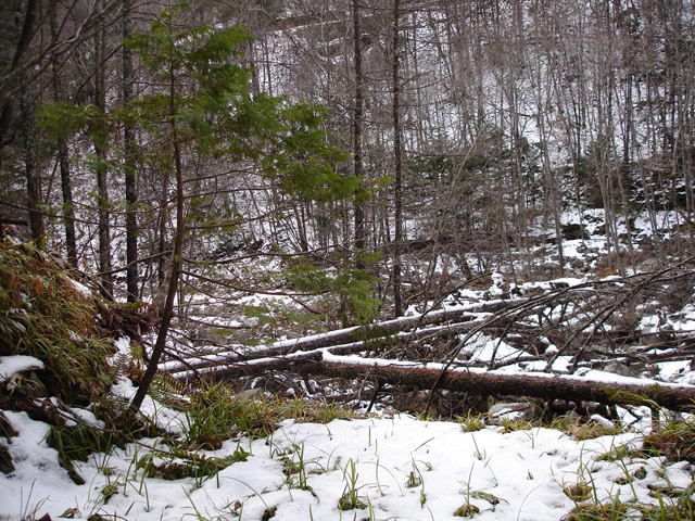 �����X�ѓS��,�ѓS,�p����,���T�r��,�����c�я�,�O����,�H�՗���