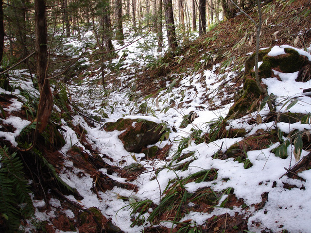 �����X�ѓS��,�ѓS,�p����,�w�A�s���J�[�u,�x��,�O����,����