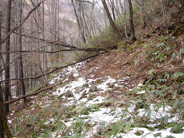 �����X�ѓS��,�p����,�ѓS,�؍މ^���O����,�����c�я�,�ѓ�