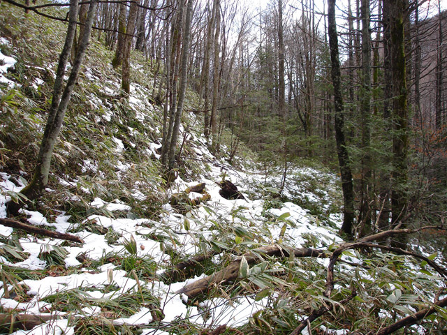 �����X�ѓS��,�ѓS,�p����,����,�����c�я�,�O����