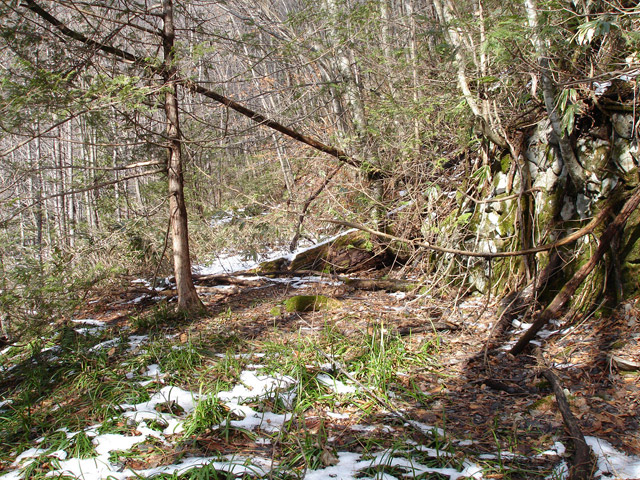 �����X�ѓS��,�p����,�ѓS,�؍މ^���O����,�ؑc��,����