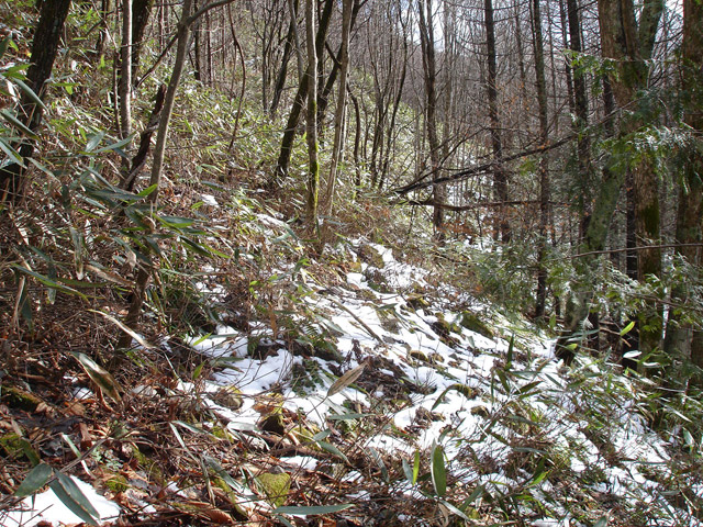 �����X�ѓS��,�p����,�ѓS,�c�я��O��,�ؑc��,�H��