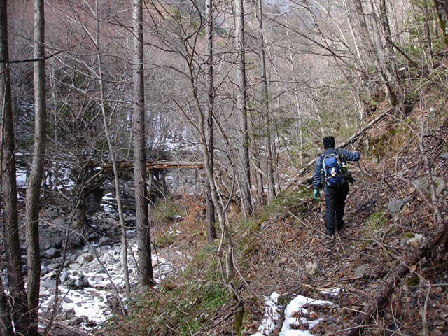 �����X�ѓS��,�p����,�ѓS,�i���[�O��,�ؑc��,�䗿��