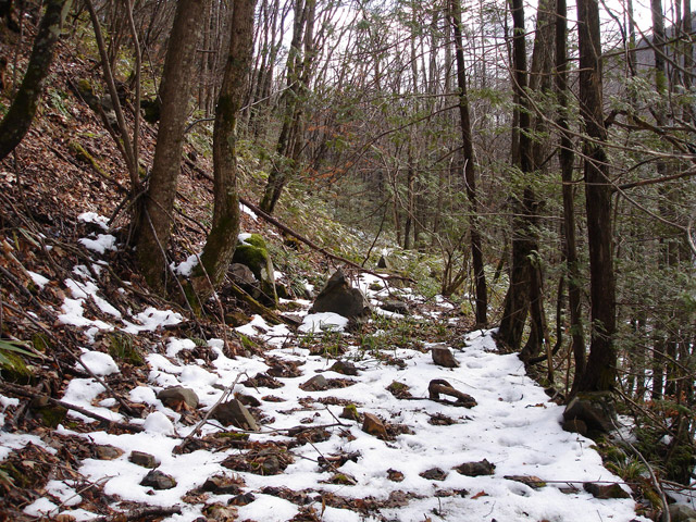 �����X�ѓS��,�p����,�ѓS,�i���[�O��,�ؑc��,�����c�я�