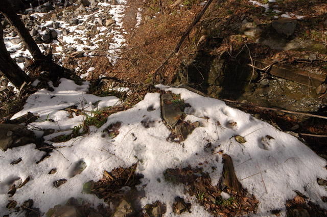 �����X�ѓS��������,�p����,�ѓS,�O����,�ؑc��,�N�}�̑���