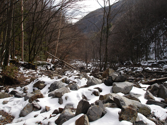 �����X�ѓS��������,�p����,�ѓS,�ؑ]�쌹��,���T�r��,�ؑc��